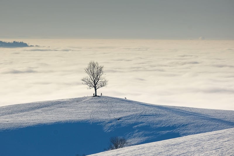 Time Travel Landscape